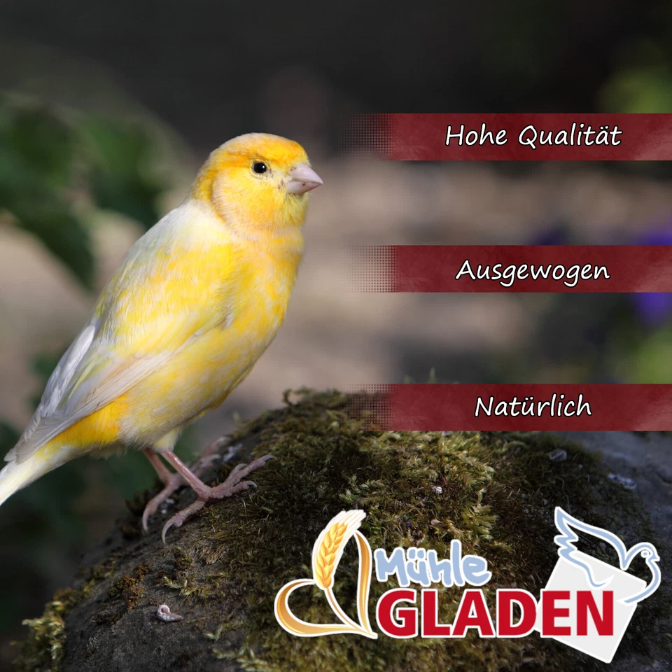Gladen - Kanarien ohne Rübsen - Vogelfutter - 20kg - Bild 2 von 4