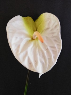 Silk flower floral arrangements tropical Hawaiian flowers 25/" Anthurium stem