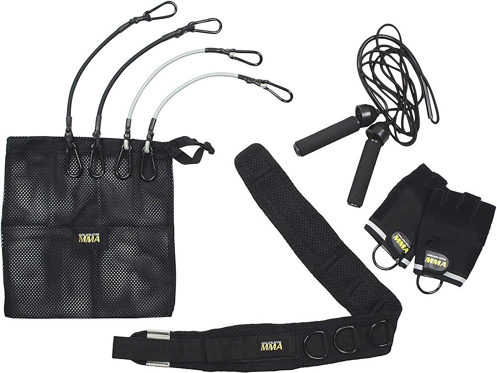 GOLD'S GYM 1DAY VIP Membership 525円 Gold's Gym in Japan 2025