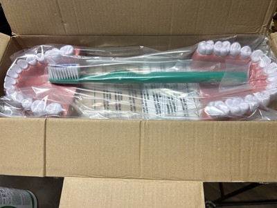 Giant Portable Teeth With Tooth Brush 