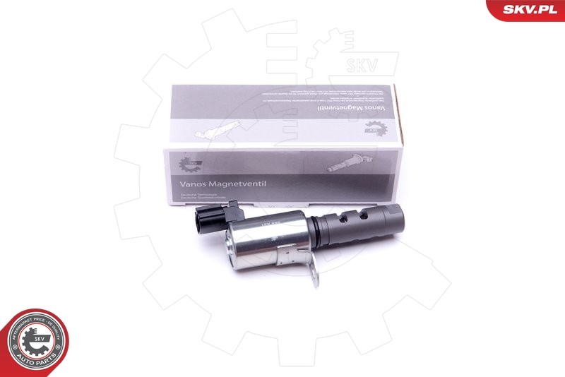 2x ✅Fits SKV GERMANY 39SKV063 VARIABLE VALVE TIMING VALVE 39SKV063   ⭐UK Seller⭐