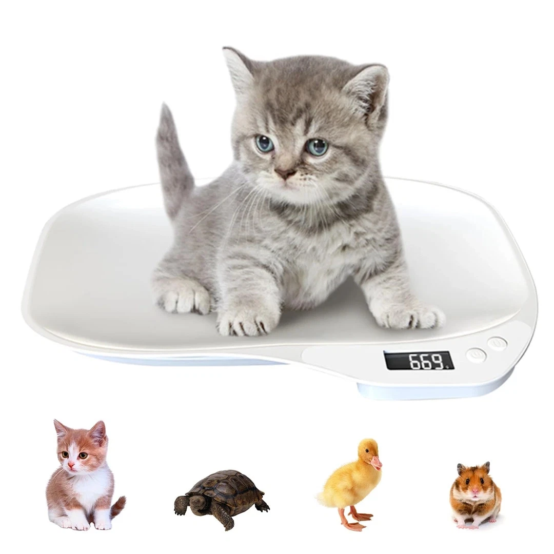Digital Pet Scale for Small Animals with 4 Weighing Modes – 15kg
Opens in a new window or tab