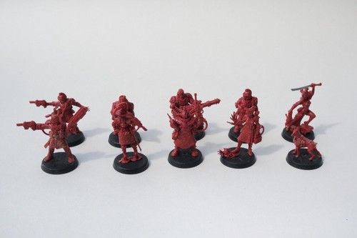 Warhammer 40k Imperial Agents Elucidian Starstriders (A1)