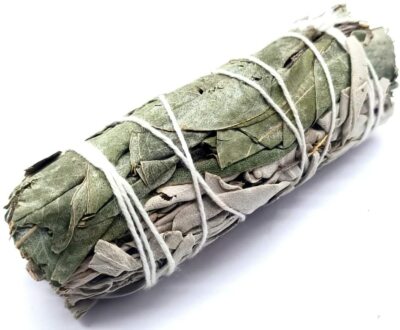 CRIGEMA - Weißer Salbei und Eukalyptus - Strauß von 10 cm ~ 20 gr - Smudge für Reinigung