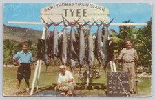 Postcard Fish St Thomas Virgin Islands