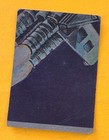 Bild 217 von 239