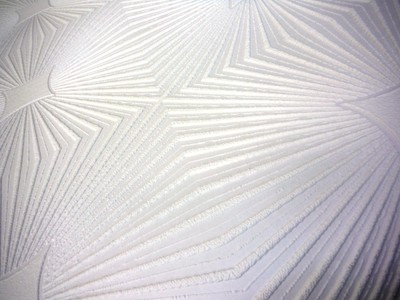 AS Creation Burst Effekt Tapete weiß mundgeblasen Vinyl strukturiert überstreichbar 6639-17
