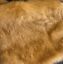 thumbnail 76 - Assorted Faux Fur Fabric Pieces /10&#034;x10&#034; Square