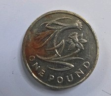 Collectible British £1 Daffodil & Leek 2013