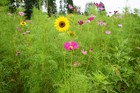 Bild 14 von 15