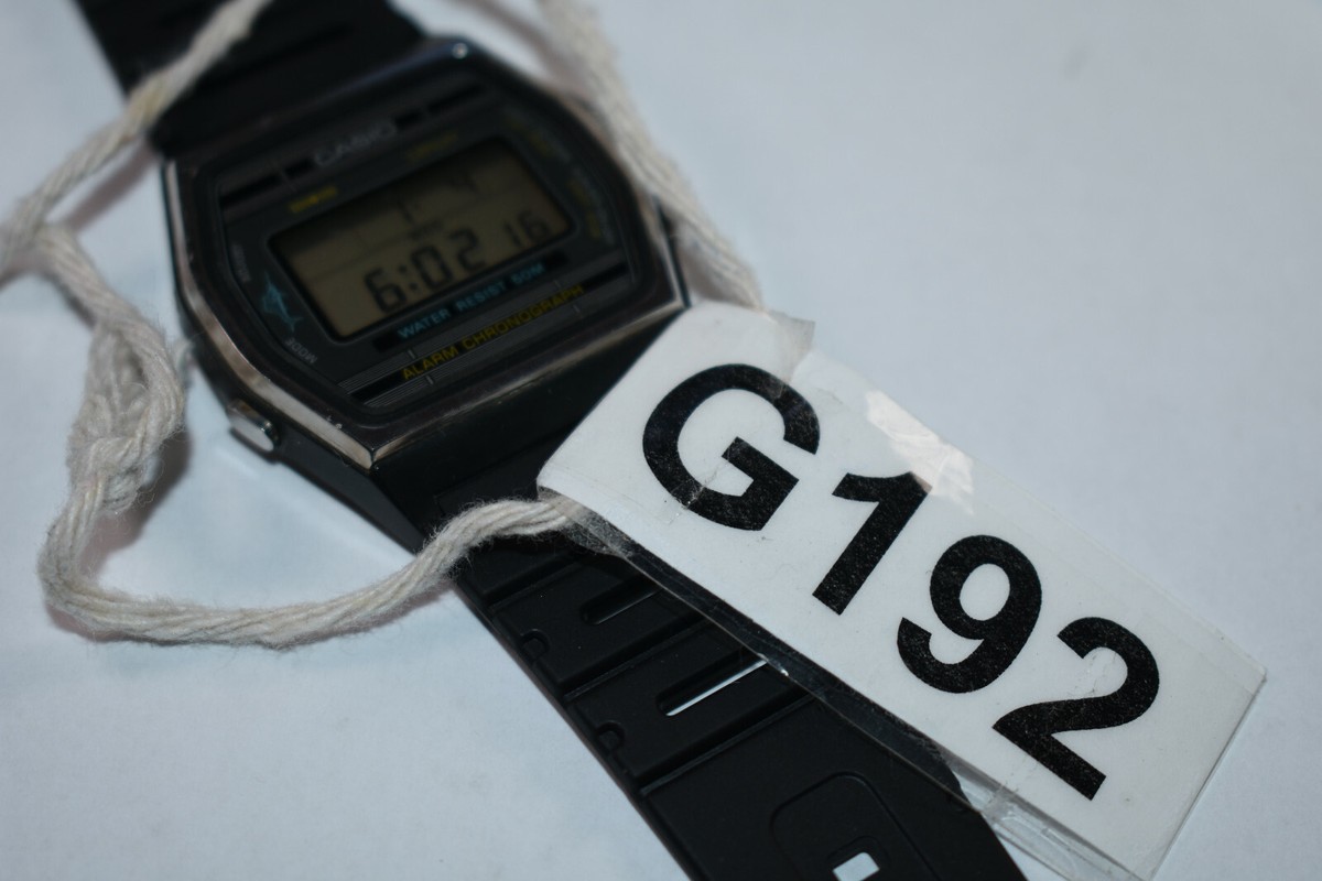 RARE! Casio Marlin W-21 (152) Vintage Men's Watch NEW BATTERY/NEW