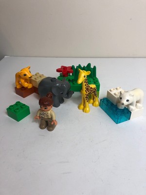 4962 duplo