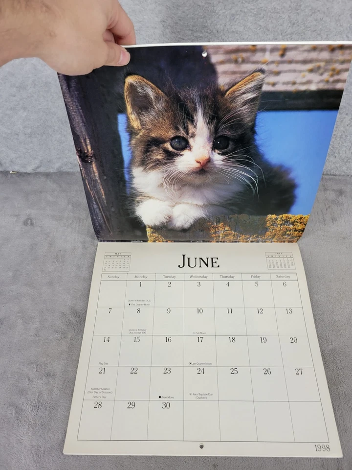 Calendario de mesa vintage 1998 Curious Cats 16 meses arte felino regalo coleccionable Foto 3 de 4