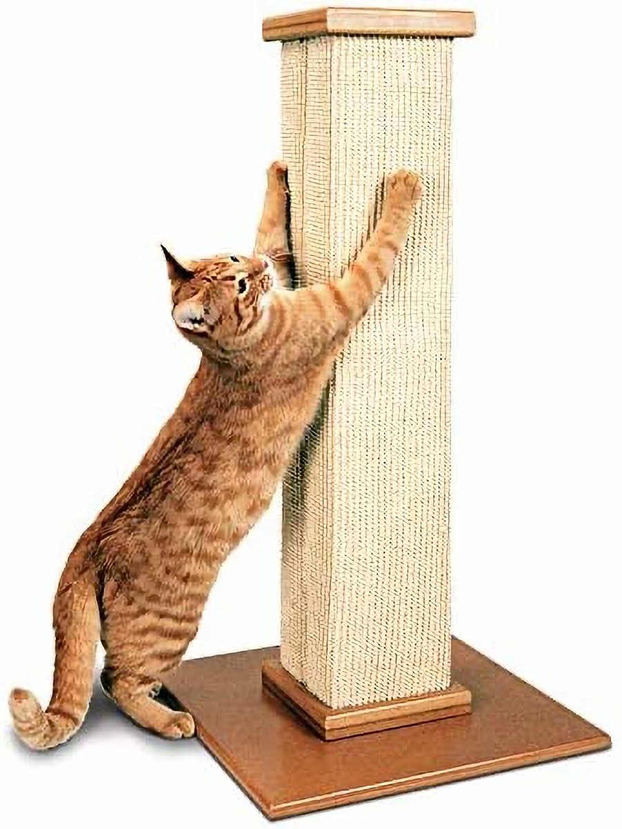 Arbol Rascador Casero Como Hacer Un Rascador Grande Para Gatos