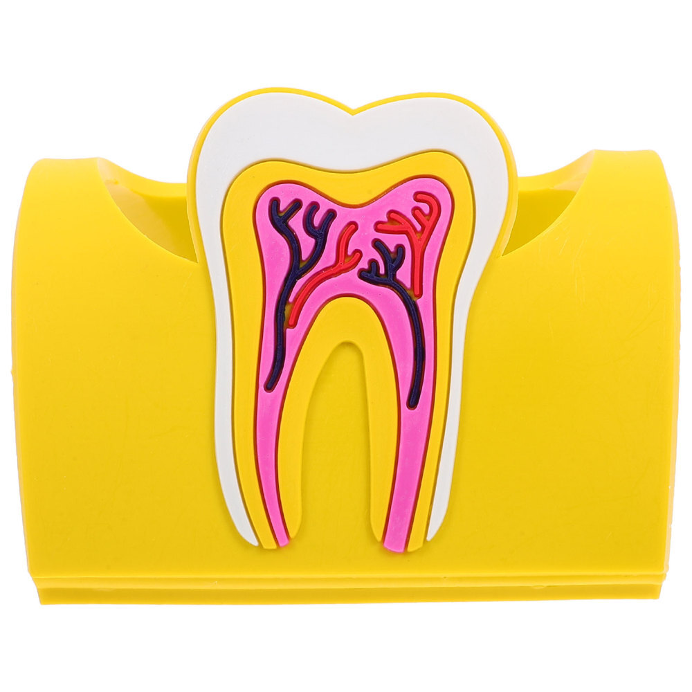 Dental Office Supplies Organizer Creative Business Card Storage