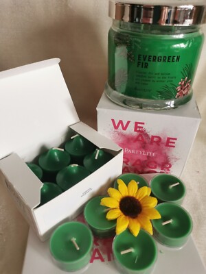PartyLite  19teiliges Wachspaket Winterwald neu OVP RAR