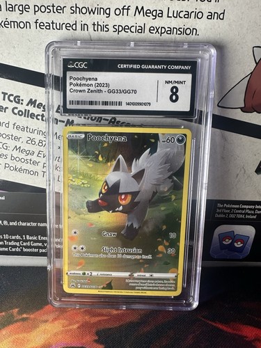 Poochyena graded CGC 8 for sale on eBay