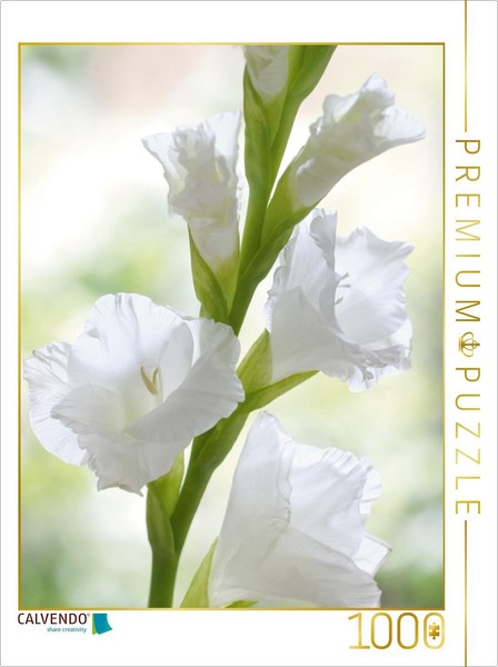 Calvendo Puzzle WeißE Gladiole 1000 Teile Puzzle Hoch | 1000 Teile Lege-GrößE 64-image