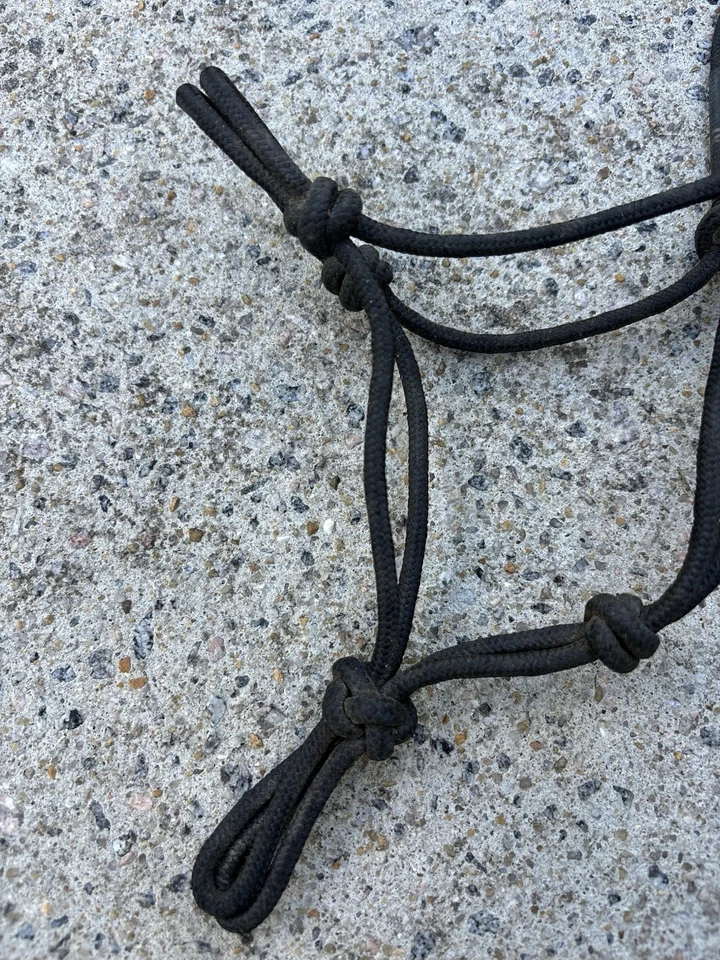 Halter recién nacido Clinton Anderson usado - MUY PEQUEÑO Foto 2 de 4