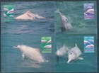 XE60127 Hong Kong 1999 dolphins animals sealife maxicards used