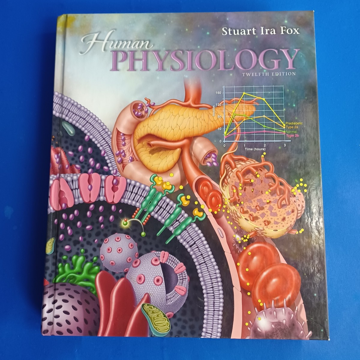Human Physiology Textbook 12th Edition Stuart Ira Fox Hardcover