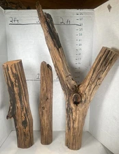 Driftwood 3 Pieces natural aquarium terrarium beach decor taxidermy