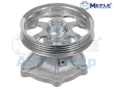 Meyle Ersatz Motor Kühlung Kühlmittel Wasserpumpe 30-13 161 0010