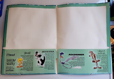 VTG 1990 Tweety Bird Surfing Folder Warner Bros Inc Looney Tunes
