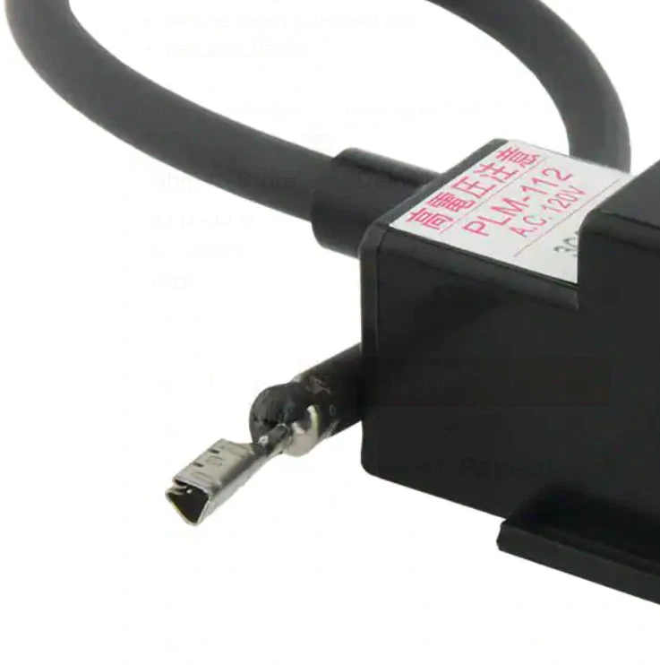 Ignitor Coil OEM RTG20235C, Fits Rheem Gas Tankless Water Heaters, 1 Pack |  eBay