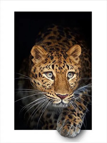 Jaguar Bead Embroidery Scheme on Canvas DIY Stamped Printed Pattern ta-463 - Picture 2 of 12