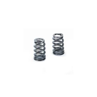SUPERTECH VENTILFEDERN SATZ FÜR BMW M3 4.0 4.4 S65B40 S65B44 VALVE SPRING KIT