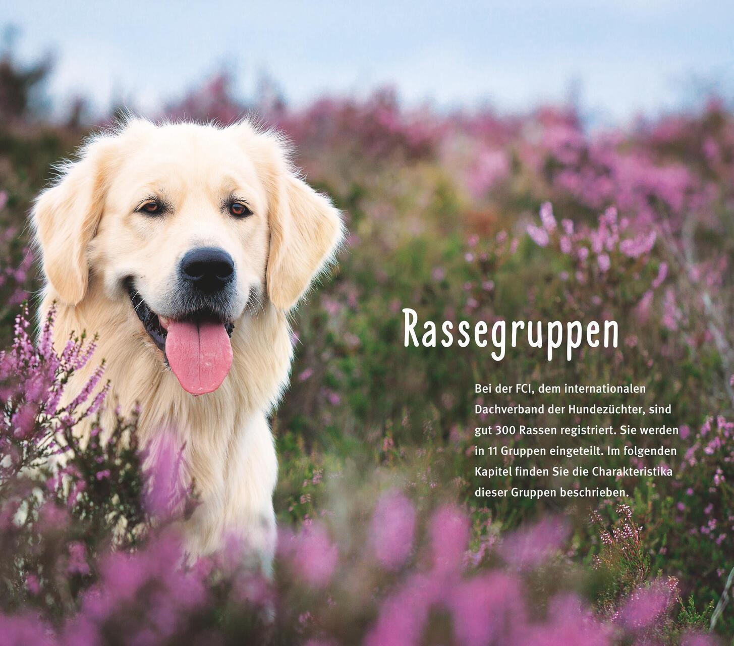 Thumbnail - Hunderassen Von A Bis Z Horst Hegewald-kawich