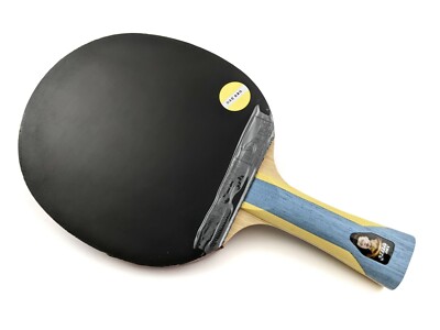 RAQUETTE DE TENNIS de table DHS H6002 ping pong paddle + housse 6 étoiles pad... EUR 89,58 - FR