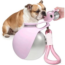 Hundetrinkflasche Edelstahl 285ml mit Silikonnapf faltbar auslaufsicher Rosa