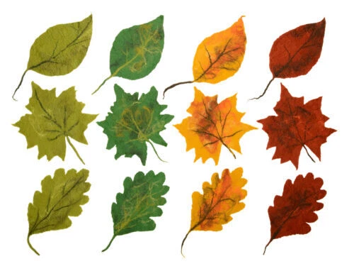 Mantas de estudio de fotografía de la naturaleza/Equipo de Alfombras