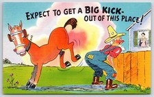 Cartolina fumetto Vecchio calciato nel culo da cavallo aspettatevi di ottenere un calcio grosso