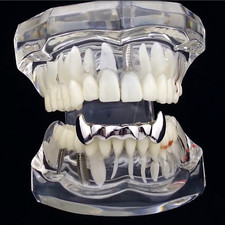 Shiny Vampire Grillz Bottom Teeth Silver Tone Teeth Dracula Fangs New Half Grill