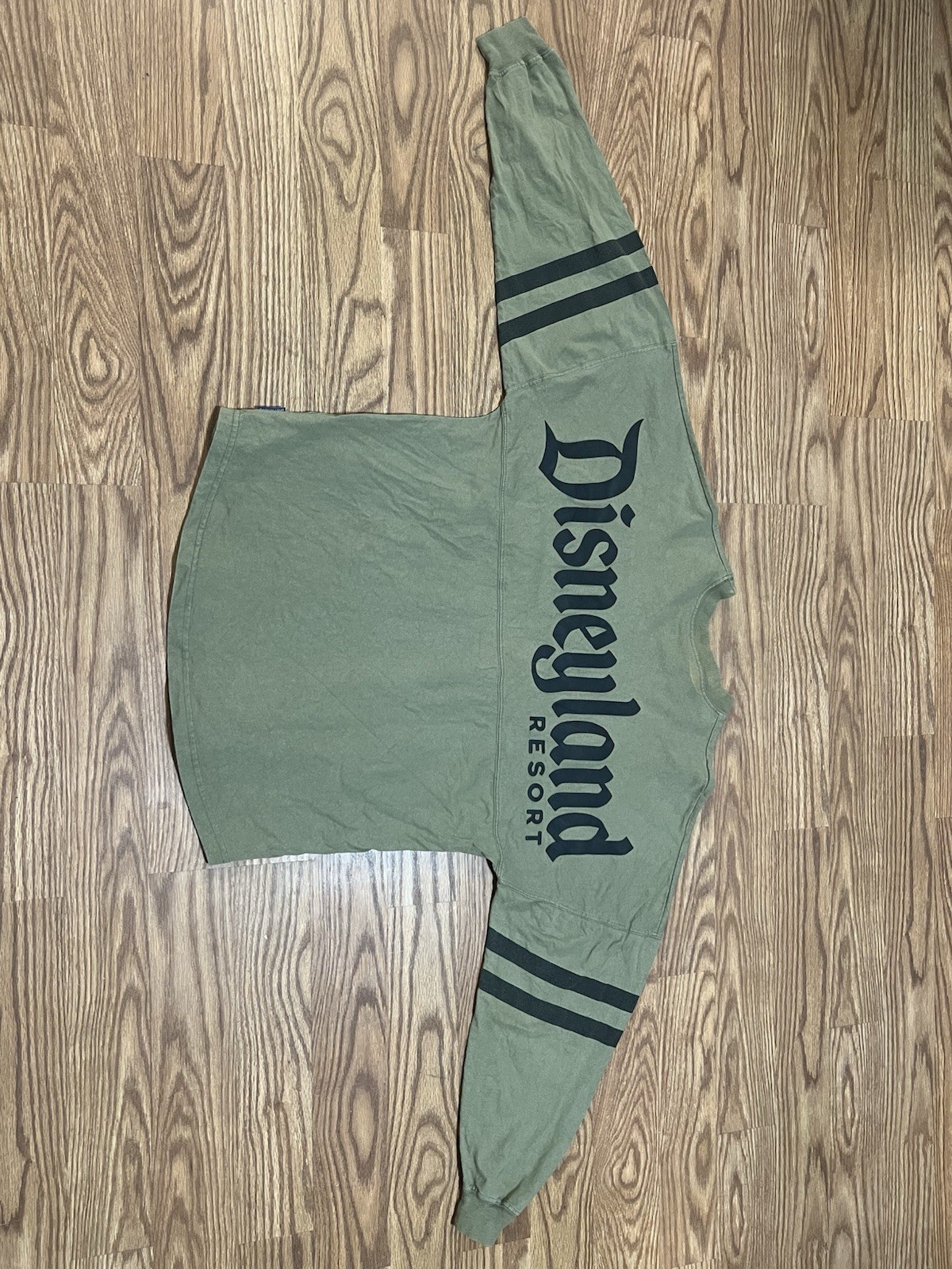 Disney Parks Mens Size XL Sage Green Disneyland Resort Spirit Jersey Sweater