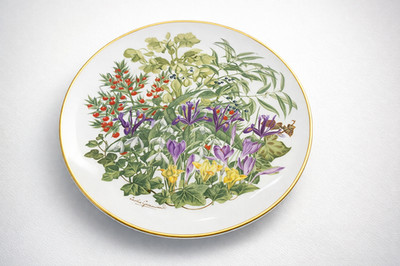 Franklin Porcelain RHS  Flowers of the Year  Sammelteller   Februar