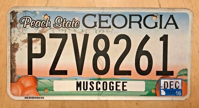 GEORGIA GRAPHIC AUTO PASSENGER  LICENSE PLATE '' PZV  8261 '' GA  PEACH STATE