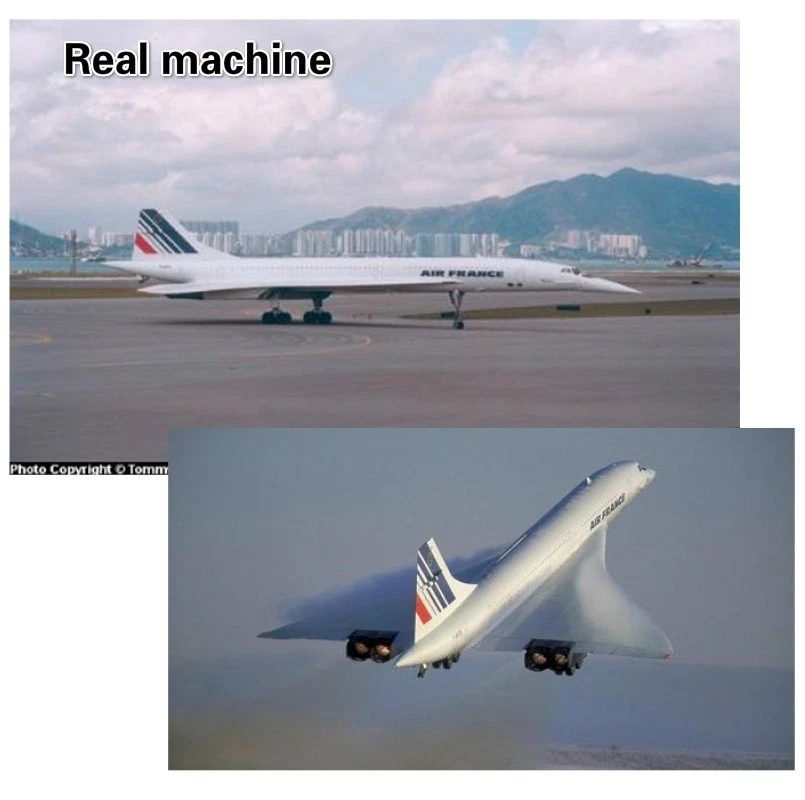 Modellino Aereo Diecast 1:400 Concorde Francese Passeggeri (16 cm) Da Collezione - Immagine 3 di 4