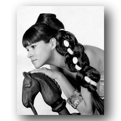 Barbara Hershey Photo 8x10 Publicity Portrait Sculptural Horse Head 1966