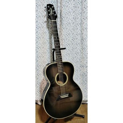 Electric Acoustic Takamine PT-105 Acoustic Guitar