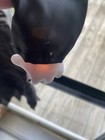 Bild 3 von 8