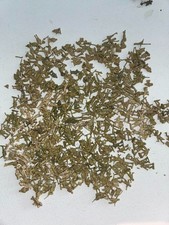 Airfix Lot - Military Miniature - British Lot - Lot AF9