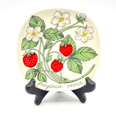 Rare Arabia Finland Fragaria Vesca Botanika wall Plate Dish Esteri Tomula 5 