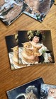 Bild 6 von 9
