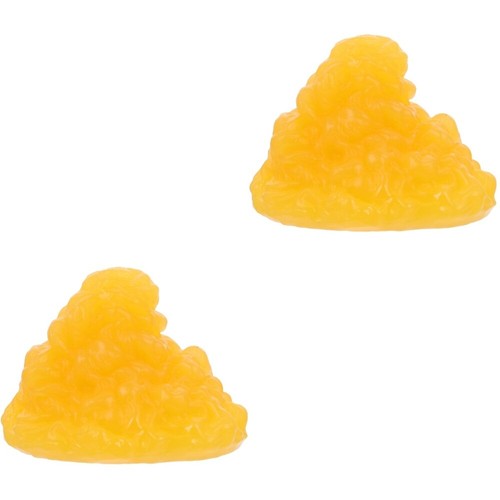 2 pcs Authentic Professional Human Fatty Tissue Model Fat Model