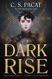 Dark Rise: A Thrilling YA Fantasy of Destiny, Magic... | Buch | Zustand sehr gut