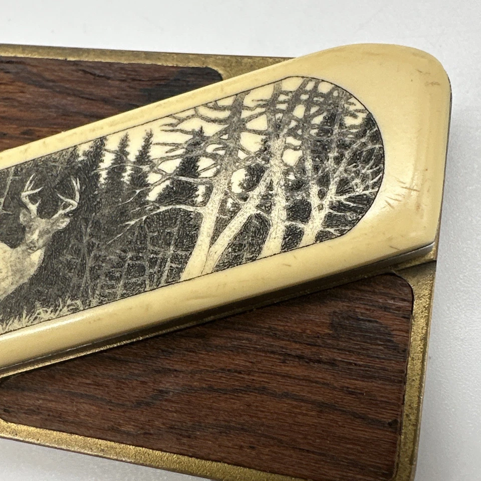 Faca Gerber Touché Buck In Woods Scrimshaw incrustada latão com fivela de inserções de nogueira - Imagem 3 de 4
